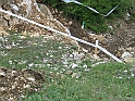 Obraz 113