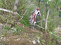 Obraz 115