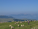 WAKACJE 2005 102