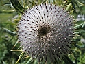 WAKACJE 2005 126