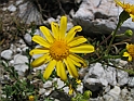 WAKACJE 2005 129