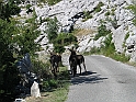 WAKACJE 2005 173