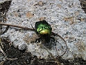 WAKACJE 2005 191