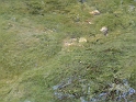 WAKACJE 2005 257