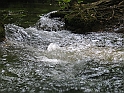 WAKACJE 2005 263