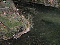 WAKACJE 2005 264