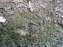 WAKACJE 2005 265
