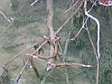 WAKACJE 2005 272