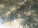 WAKACJE 2005 275