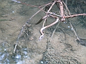 WAKACJE 2005 276