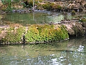 WAKACJE 2005 279