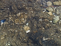WAKACJE 2005 288