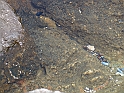 WAKACJE 2005 291