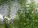 WAKACJE 2005 307