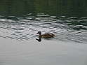 WAKACJE 2005 313