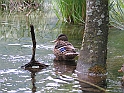 WAKACJE 2005 325
