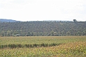 wakacje z bratem 2007 151