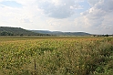 wakacje z bratem 2007 153