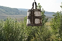 wakacje z bratem 2007 163