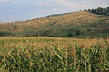 wakacje z bratem 2007 169