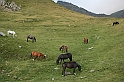 wakacje z bratem 2007 387