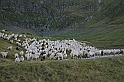 wakacje z bratem 2007 408