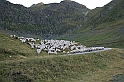 wakacje z bratem 2007 409