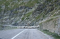 wakacje z bratem 2007 413