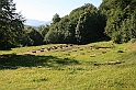 wakacje z bratem 2007 588