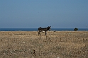wakacje z bratem 2007 675