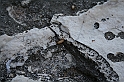 wakacje z bratem 2007 688