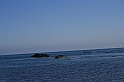 wakacje z bratem 2007 737