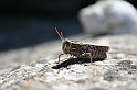 wakacje z bratem 2007 762