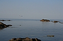 wakacje z bratem 2007 792