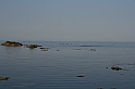 wakacje z bratem 2007 807