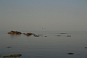 wakacje z bratem 2007 822