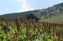 Bulgaria 2008 391