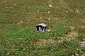 Bulgaria 2008 392