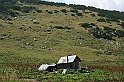 Bulgaria 2008 394