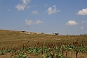 Bulgaria 2008 407