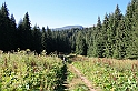 Bulgaria 2008 436