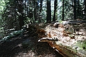 Bulgaria 2008 437