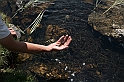 Bulgaria 2008 466