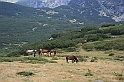 Bulgaria 2008 524