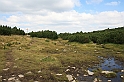 Bulgaria 2008 528