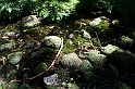 Bulgaria 2008 563
