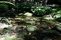 Bulgaria 2008 564