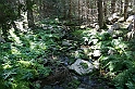 Bulgaria 2008 565