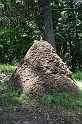 Bulgaria 2008 566