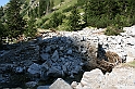 Bulgaria 2008 756